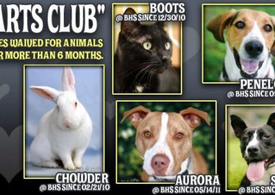 Baltimore Humane Society banner ad